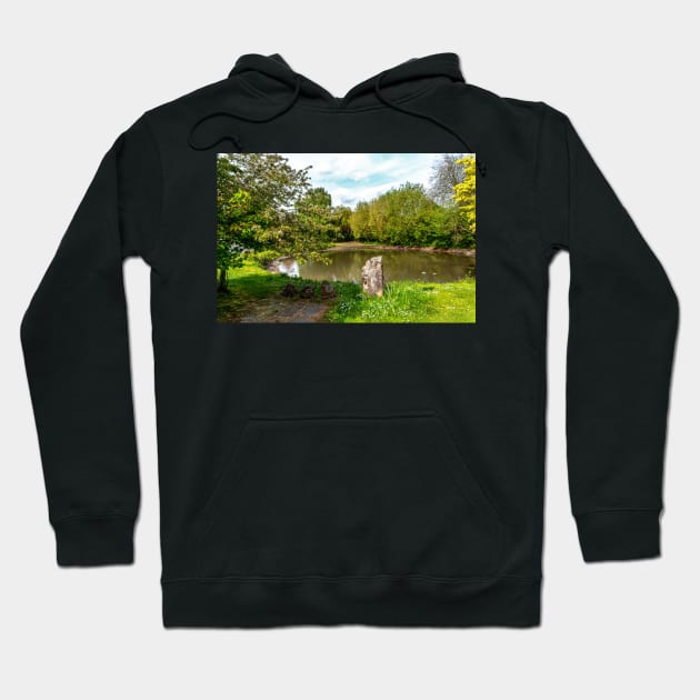 East Ilsley Village Pond Hoodie by IanWL